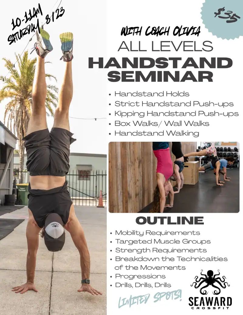 aug 2025 Handstands Seminar